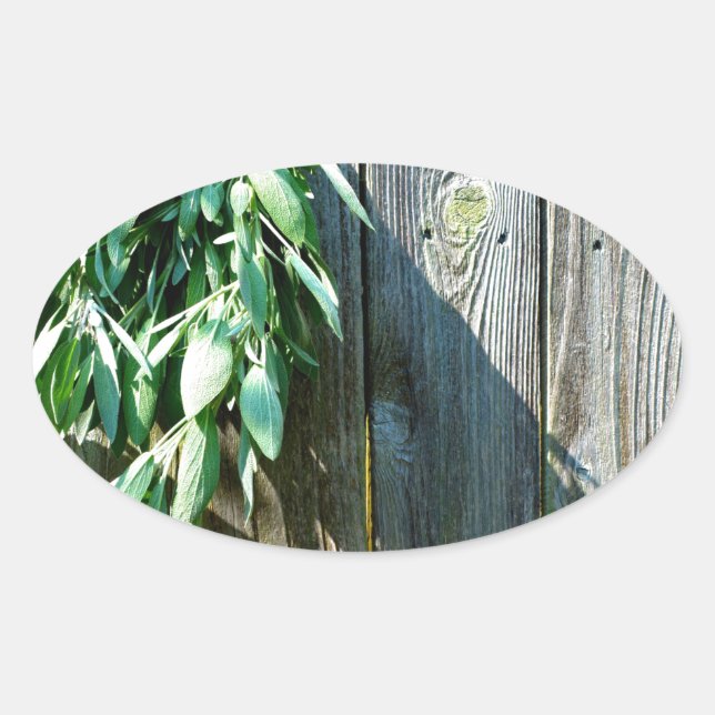 Adesivo Oval Sage Barn-wood, recortada recentemente (Frente)