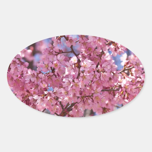 Adesivo Oval Sakura Pink Chersom Sky (Frente)