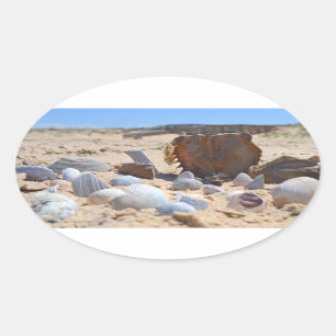 Adesivo Oval Seashells on the Beach por Shirley Taylor