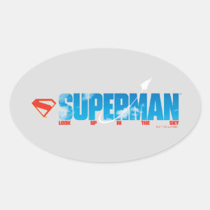 Adesivo Oval Silhouette Superman Skybound