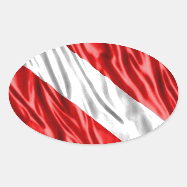 Adesivo Oval Sinalizador do driver (Frente)