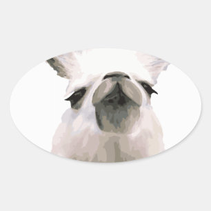 Adesivo Oval Snooty Snobby Llama personalizado