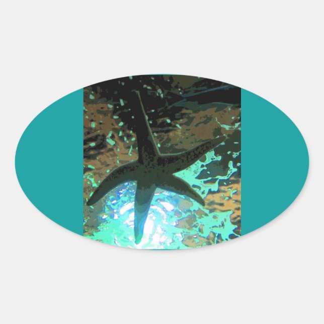 Adesivo Oval Starfish CB (Frente)