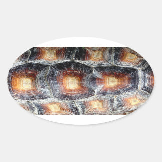 Adesivo Oval Sulcata Tortoise Shell Sticker