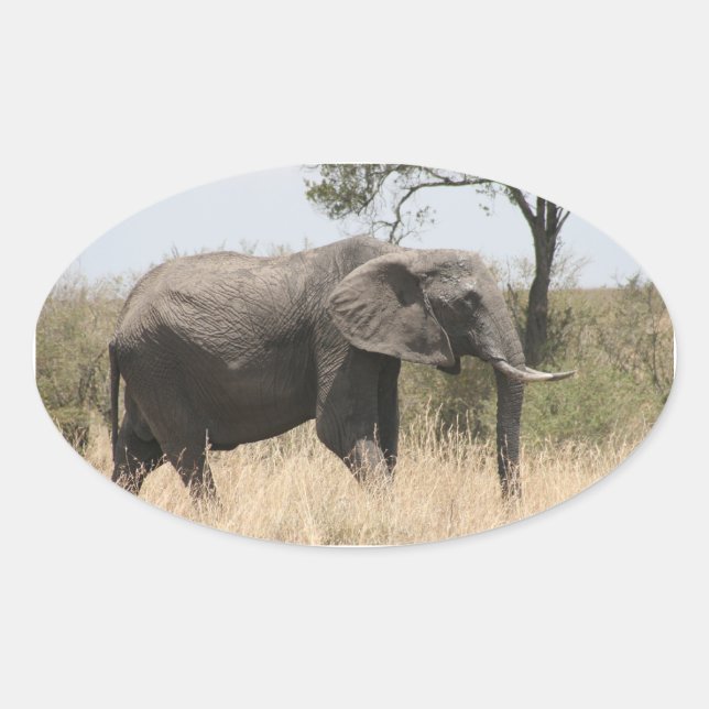 Adesivo Oval suporte elefante (Frente)