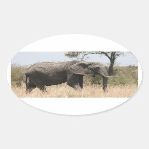 Adesivo Oval suporte elefante