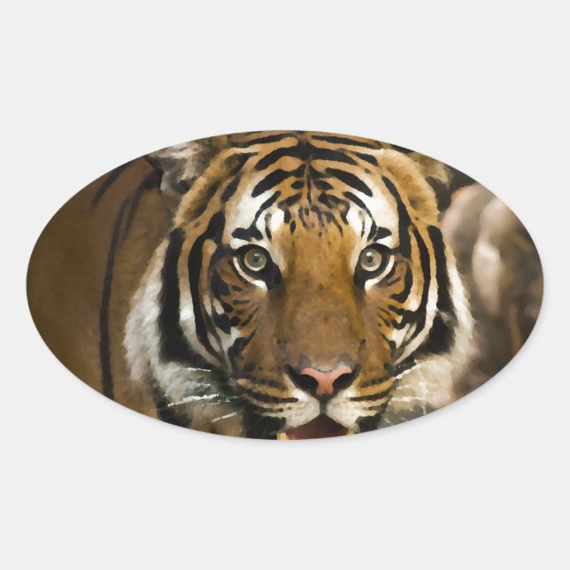 Adesivo Oval Tigre Siberiano (Frente)