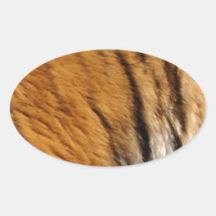 Adesivo Oval Tigre-Stripes-Big Cat Wildlife