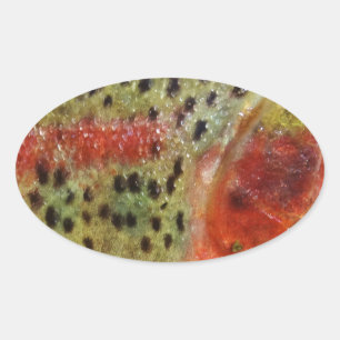 Adesivo Oval Truta em Mãos