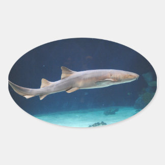 Adesivo Oval Tubarão