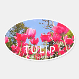 Adesivo Oval Tulip