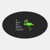 Um Pouco Irlandês Hoje | Rua. Patty's Day Flamingo