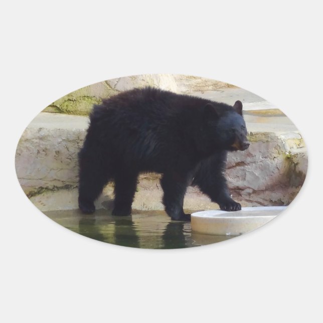 Adesivo Oval Urso Negro Americano nº 1-2 (Frente)