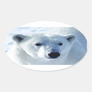 Adesivo Oval Urso Polar