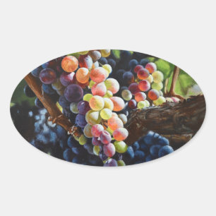 Adesivo Oval Uvas de abundância para amantes e vinhas de vinho