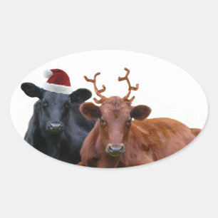 Adesivo Oval Vacas do feriado do Natal no papai noel chapéu e