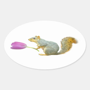 Adesivo Oval Vinheta de Flor Rosa Esquilo