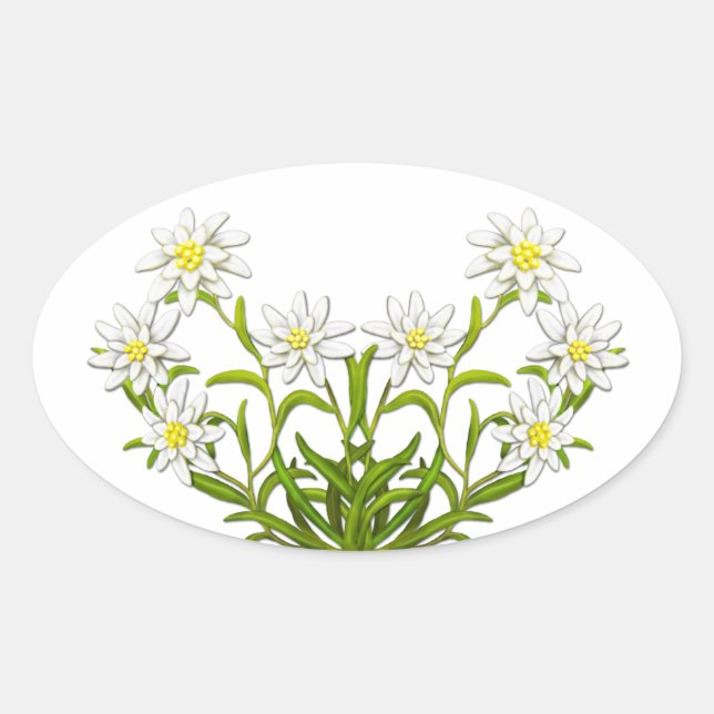 Adesivo Oval Vinheta Flores Edelweiss Suíça (Frente)