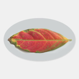 Adesivo Oval Vinheta oval bonito de folha vermelha, selador, et