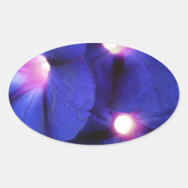 Adesivo Oval Vinheta Oval Floral