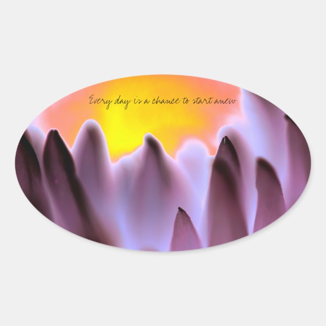 Adesivo Oval Vinhetas (Frente)