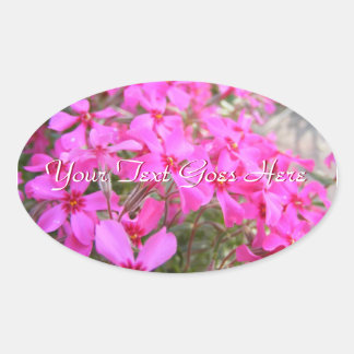 Adesivo Oval Vinhetas de Flores de Phlox Rosa