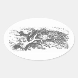 Adesivo Oval Vintage Alice no País das Maravilhas Cheshire Cat 