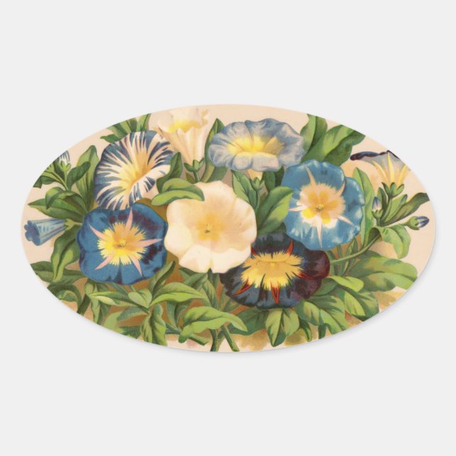 Adesivo Oval Vintage Morning Glory (Frente)
