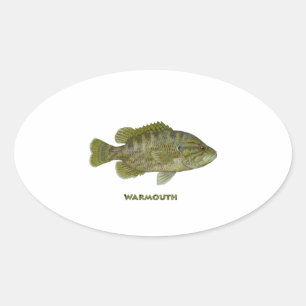 Adesivo Oval Warmouth Bass