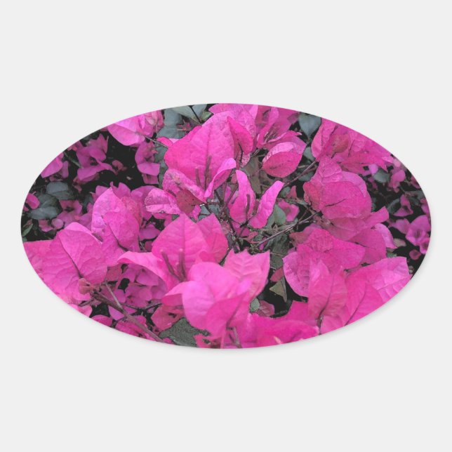 Adesivo Oval Watercolor-Bougainvillea (Frente)