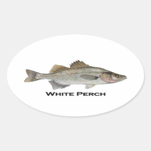 Adesivo Oval White Perch