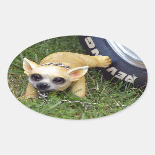 Adesivo Oval Whiz Kid