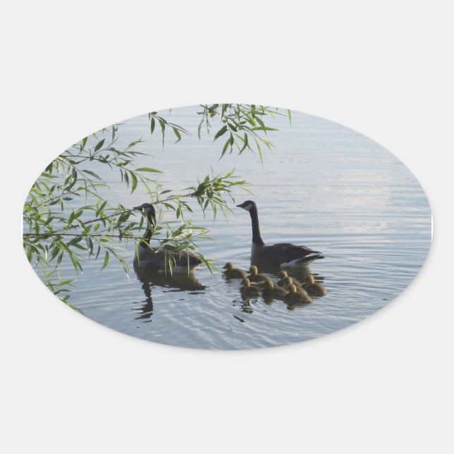 Adesivo Oval Wild Geese Stickers (Frente)