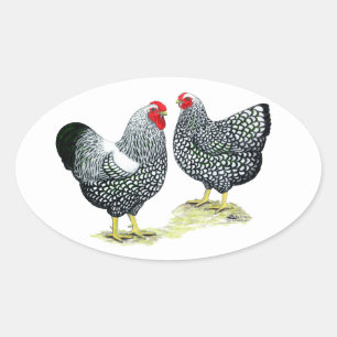 Adesivo Oval Wyandottes Prata-atou pares