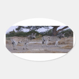 Adesivo Oval Zebra Double Take Foto