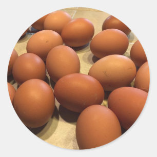 Adesivo Ovos marrons recentemente recolhidos