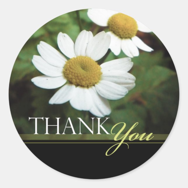 Adesivo Oxeye Daisy Floral Obrigado Envelope Seals (Frente)