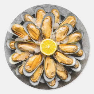 Adesivo Oyster Púltimo
