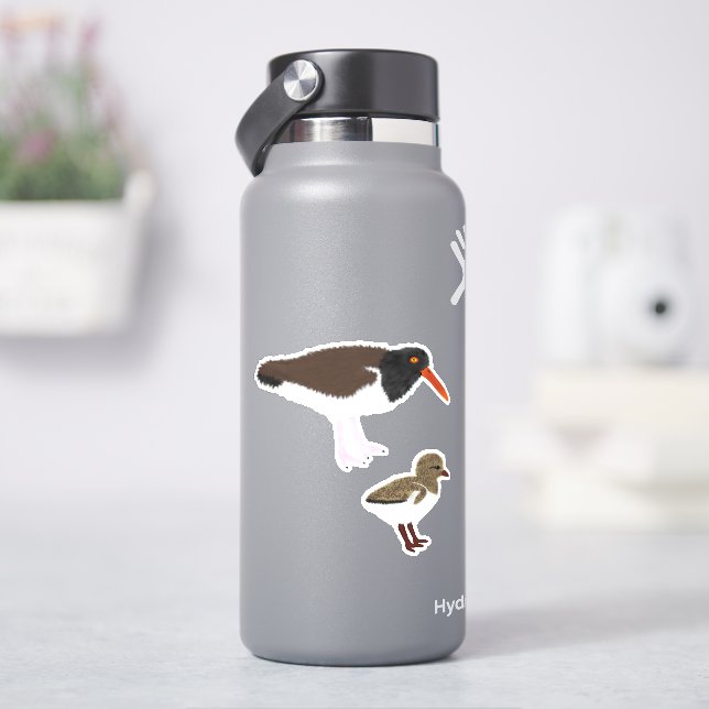 Adesivo Oystercatcher Americano com Pintinho (HidroFlask)