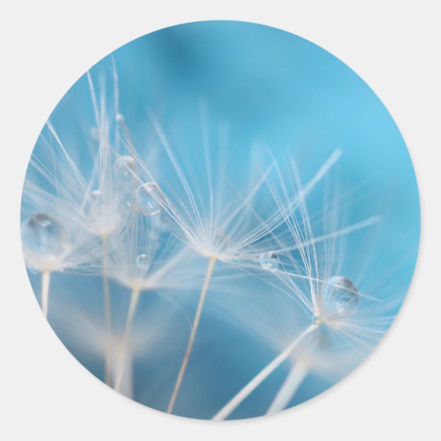 Adesivo © P Wherrell Dandelion blues fotografia de arte (Frente)