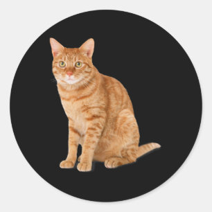 Adesivo Pá Laranja Gato Engraçado Gato Parody Gift Kit