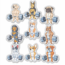 Pack Dog Gym Lover - Engraçado Gym Lover Pack 6