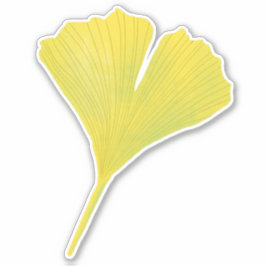 Adesivo Padrão Botânico do Folheto Verde Gingko