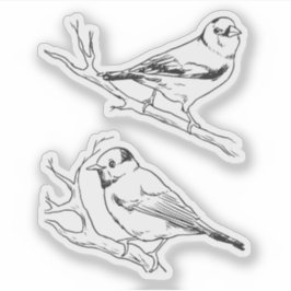 Adesivo Padrão de Arte de Linha de Aves Norte-Americanas M