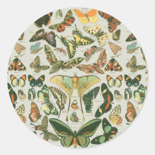Adesivo Padrão de Impressão de Borboleta Mariposa Vintage
