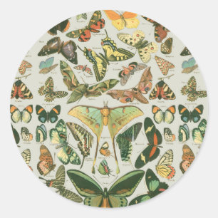 Adesivo Padrão de Impressão de Borboleta Mariposa Vintage