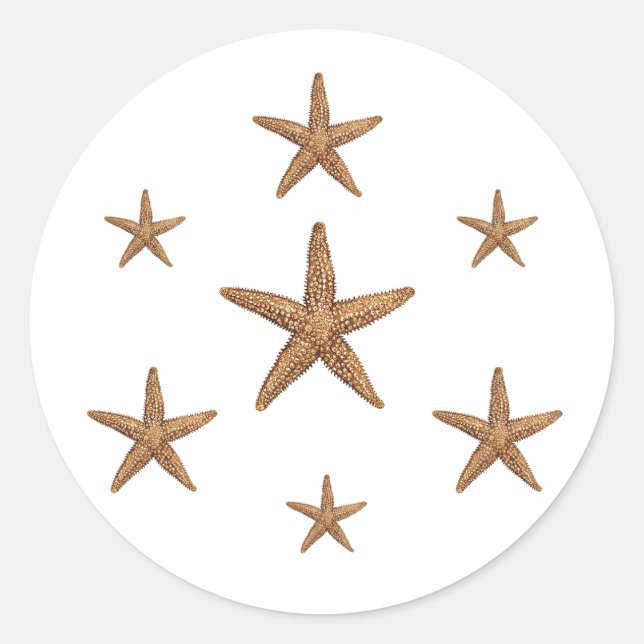 Adesivo Padrão de Starfish (geométrico) (Frente)