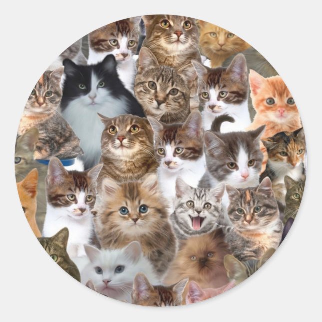 Adesivo Padrão do Cat Faces (Frente)