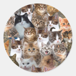 Adesivo Padrão do Cat Faces