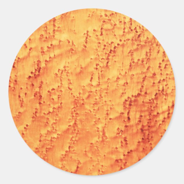 Adesivo Padrões de madeira de carapaça de aves Elegante (Frente)